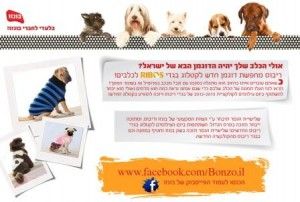 תחרות הדוגמן על ארבע